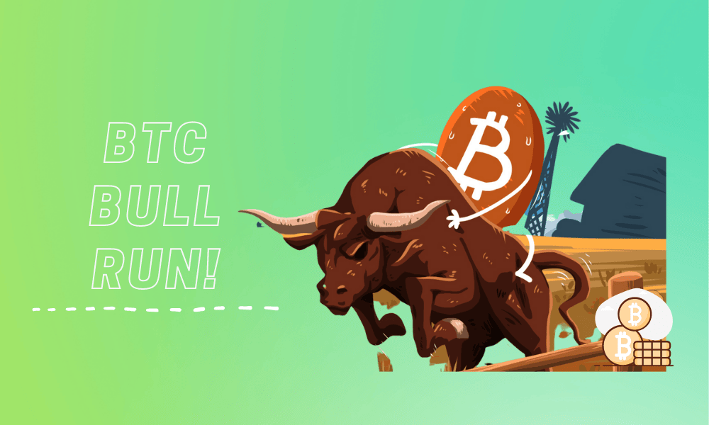 Next Bitcoin Bull Run Won’t Happen Until End 2024, Crypto Exchange Co-Founder!